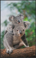 Lade das Bild in den Galerie-Viewer, Fussmatte Koala 7629-Matten-Welt
