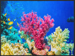 Lade das Bild in den Galerie-Viewer, Fussmatte Koralle 4991-Matten-Welt
