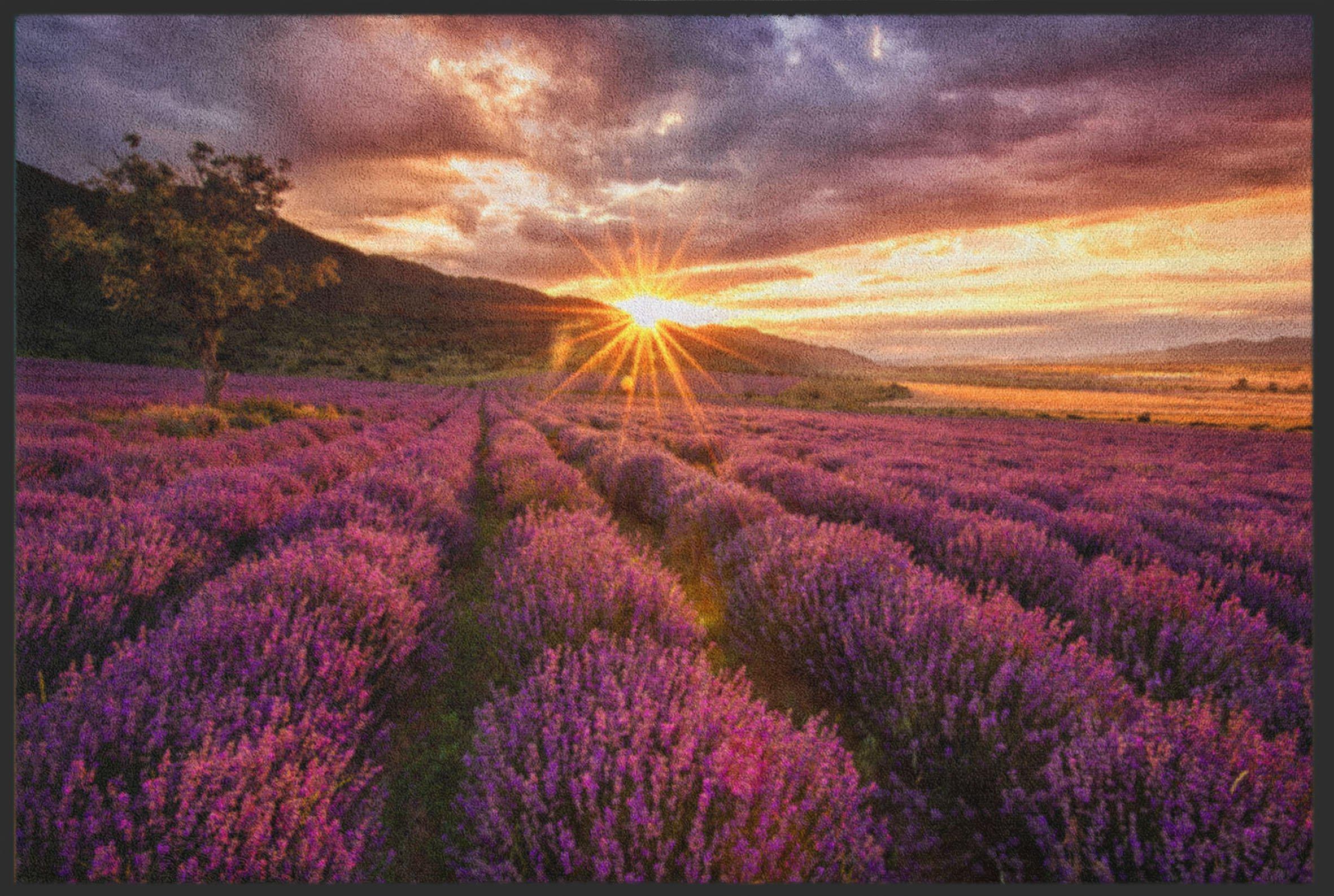 Fussmatte Lavendel 4865-Matten-Welt