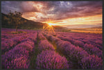 Lade das Bild in den Galerie-Viewer, Fussmatte Lavendel 4865-Matten-Welt
