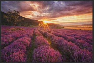 Fussmatte Lavendel 4865-Matten-Welt