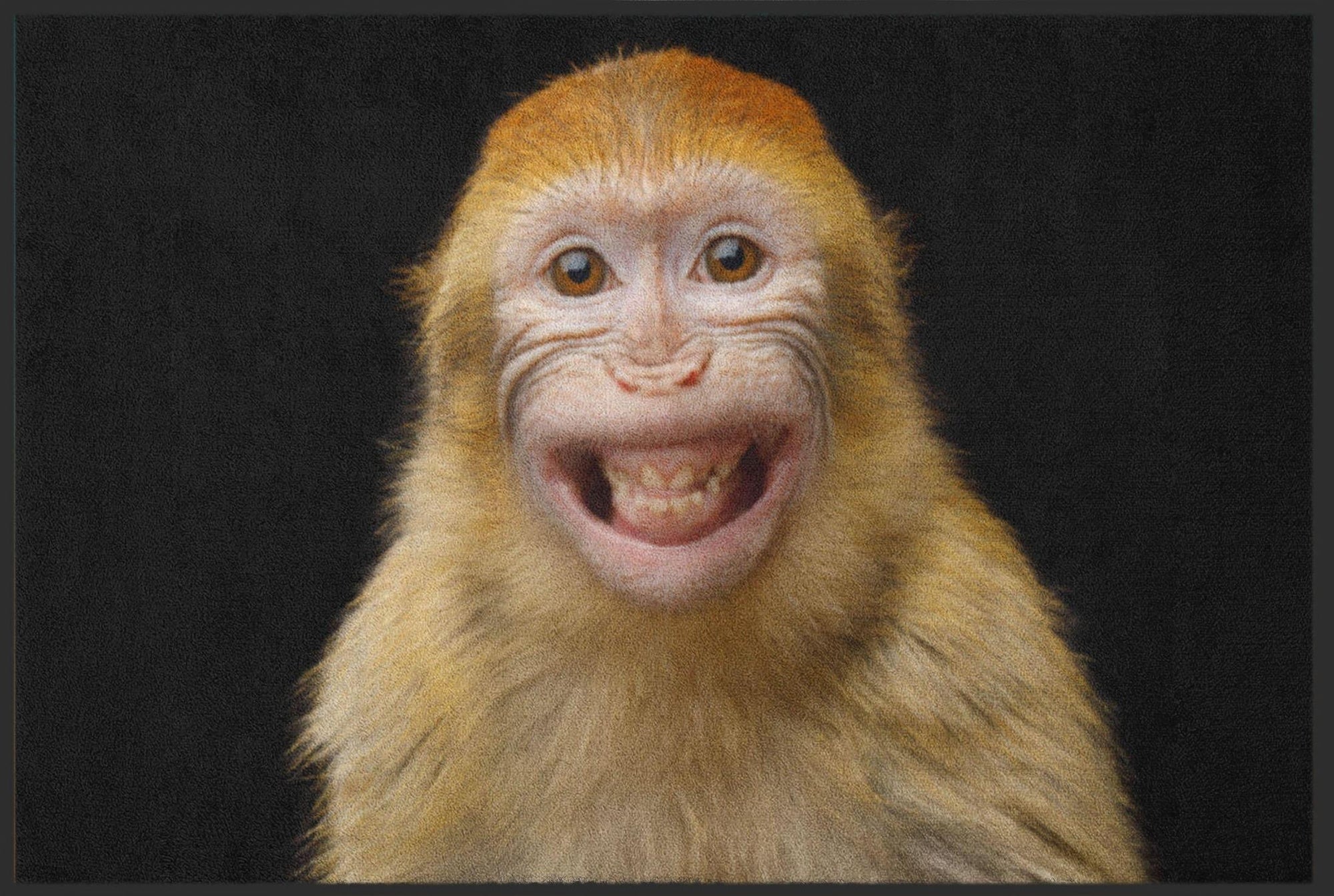 Fussmatte Lustig 4514