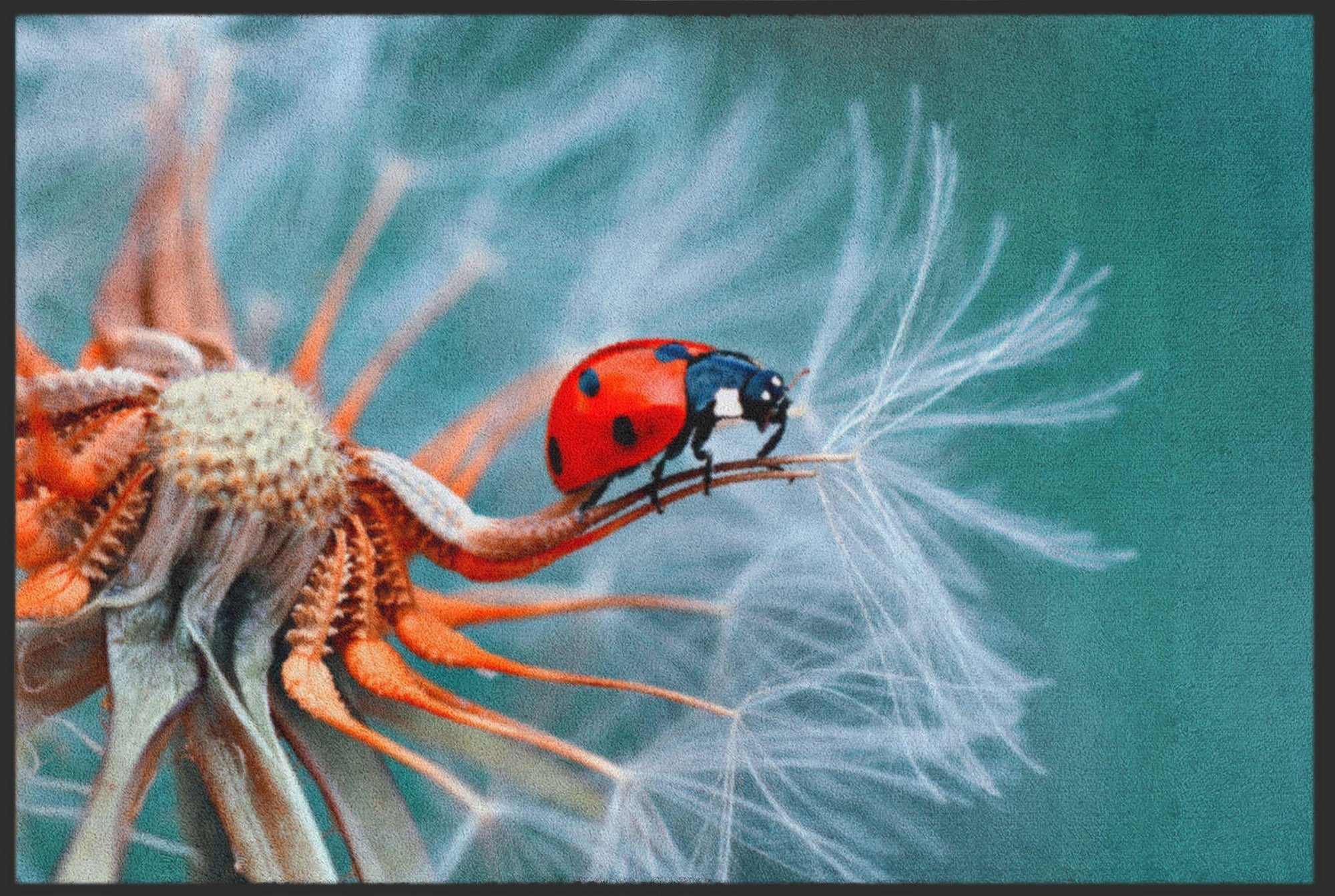 Fussmatte Marienkäfer 4621