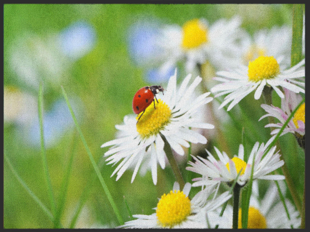 Fussmatte Marienkäfer 4870-Matten-Welt