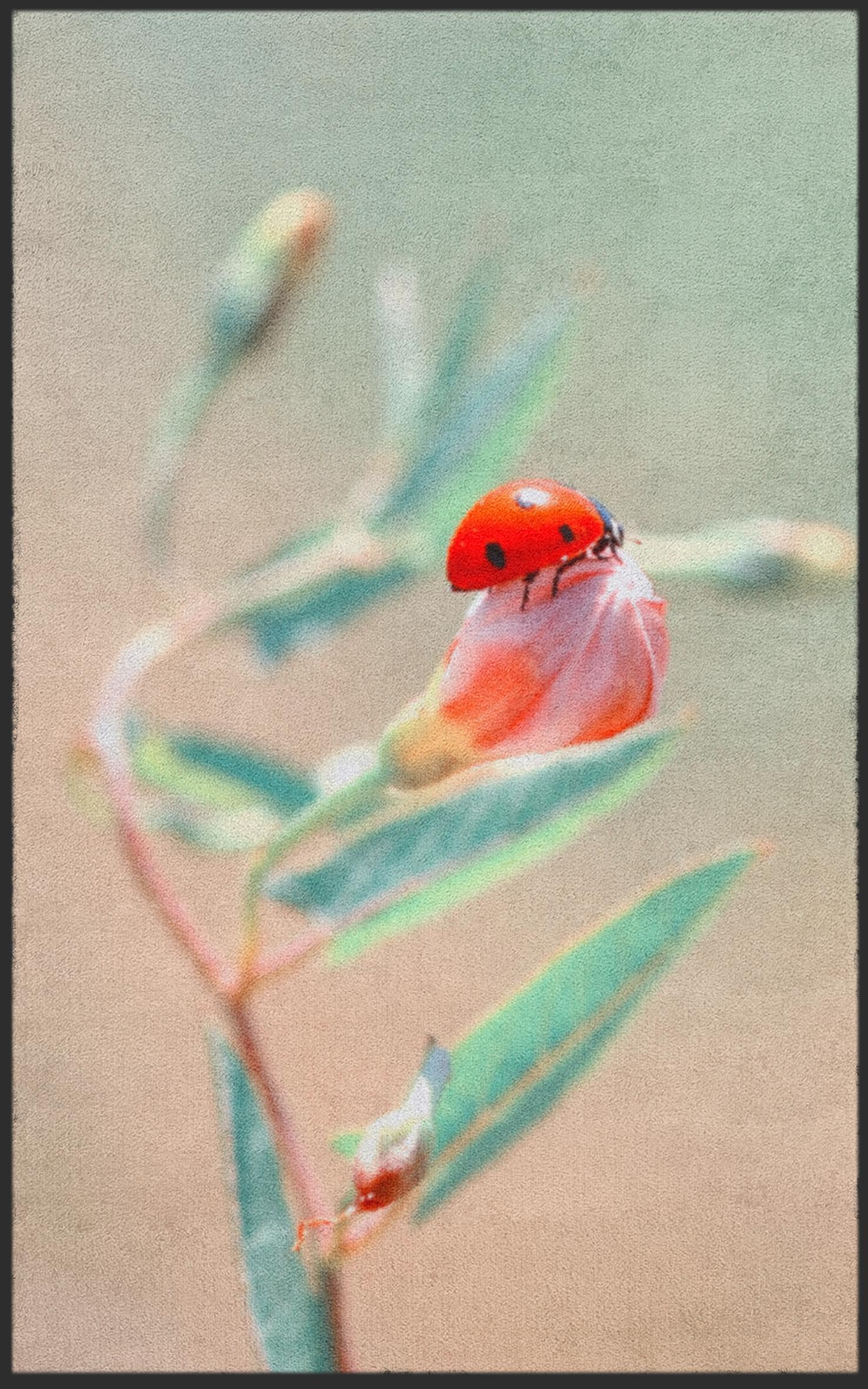 Fussmatte Marienkäfer 7297