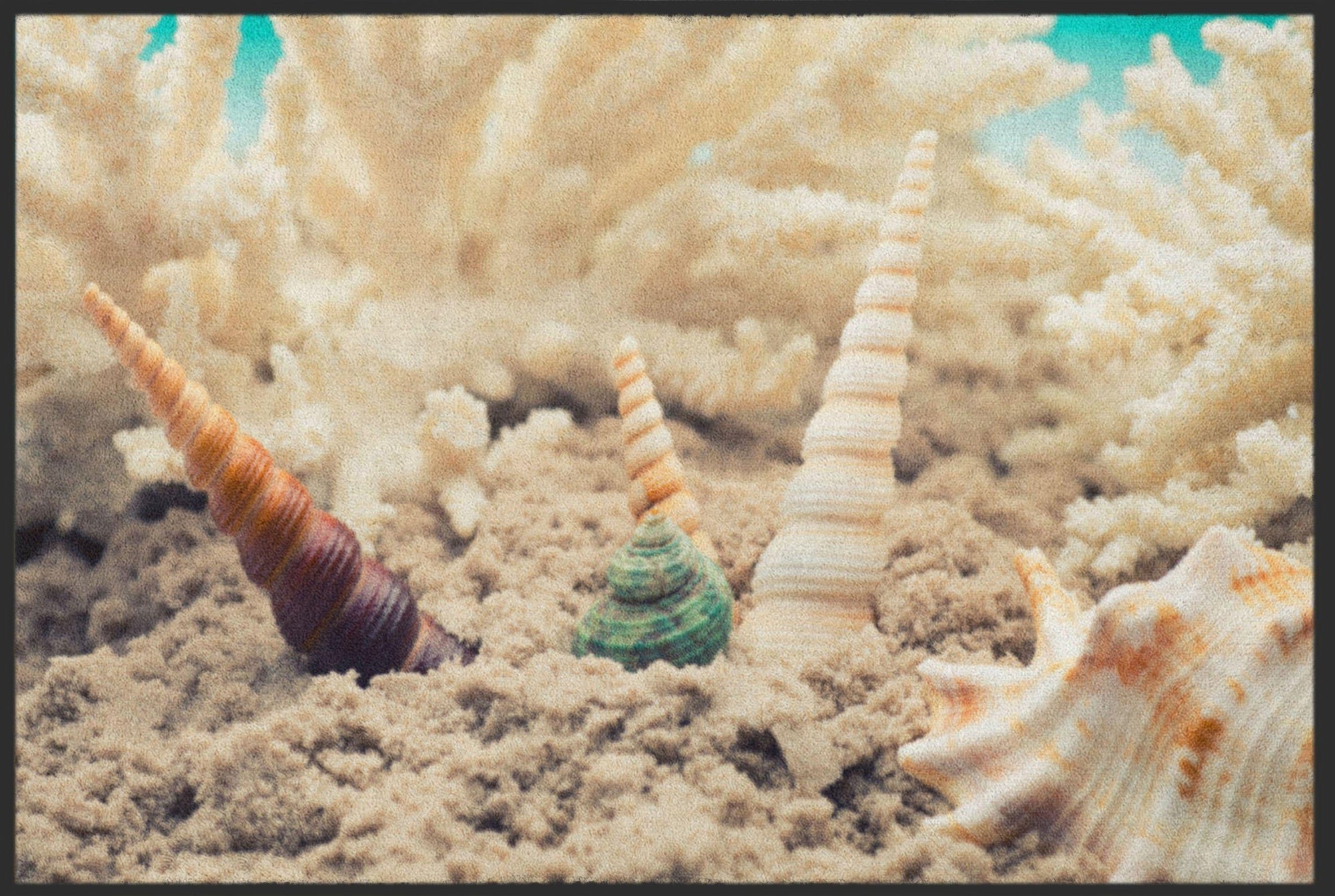 Fussmatte Muscheln 4592