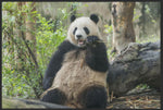 Lade das Bild in den Galerie-Viewer, Fussmatte Pandabär 4526-Matten-Welt
