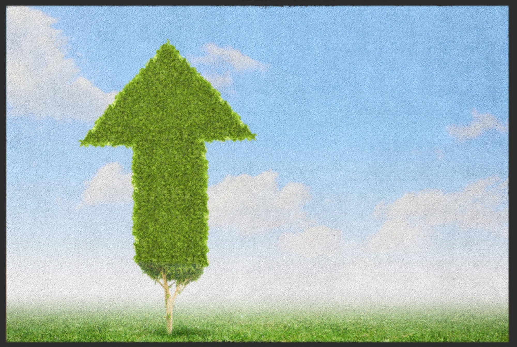 Fussmatte Pfeil 6178