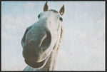 Lade das Bild in den Galerie-Viewer, Fussmatte Pferd 4805-Matten-Welt
