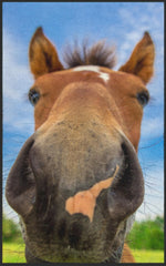 Lade das Bild in den Galerie-Viewer, Fussmatte Pferd 7140-Matten-Welt
