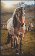 Lade das Bild in den Galerie-Viewer, Fussmatte Pferd 7642-Matten-Welt
