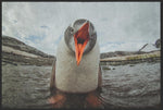 Lade das Bild in den Galerie-Viewer, Fussmatte Pinguin 10169-Matten-Welt
