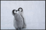 Lade das Bild in den Galerie-Viewer, Fussmatte Pinguin 4812-Matten-Welt

