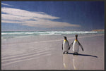 Lade das Bild in den Galerie-Viewer, Fussmatte Pinguin 6053-Matten-Welt
