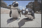 Lade das Bild in den Galerie-Viewer, Fussmatte Pinguin 6071-Matten-Welt
