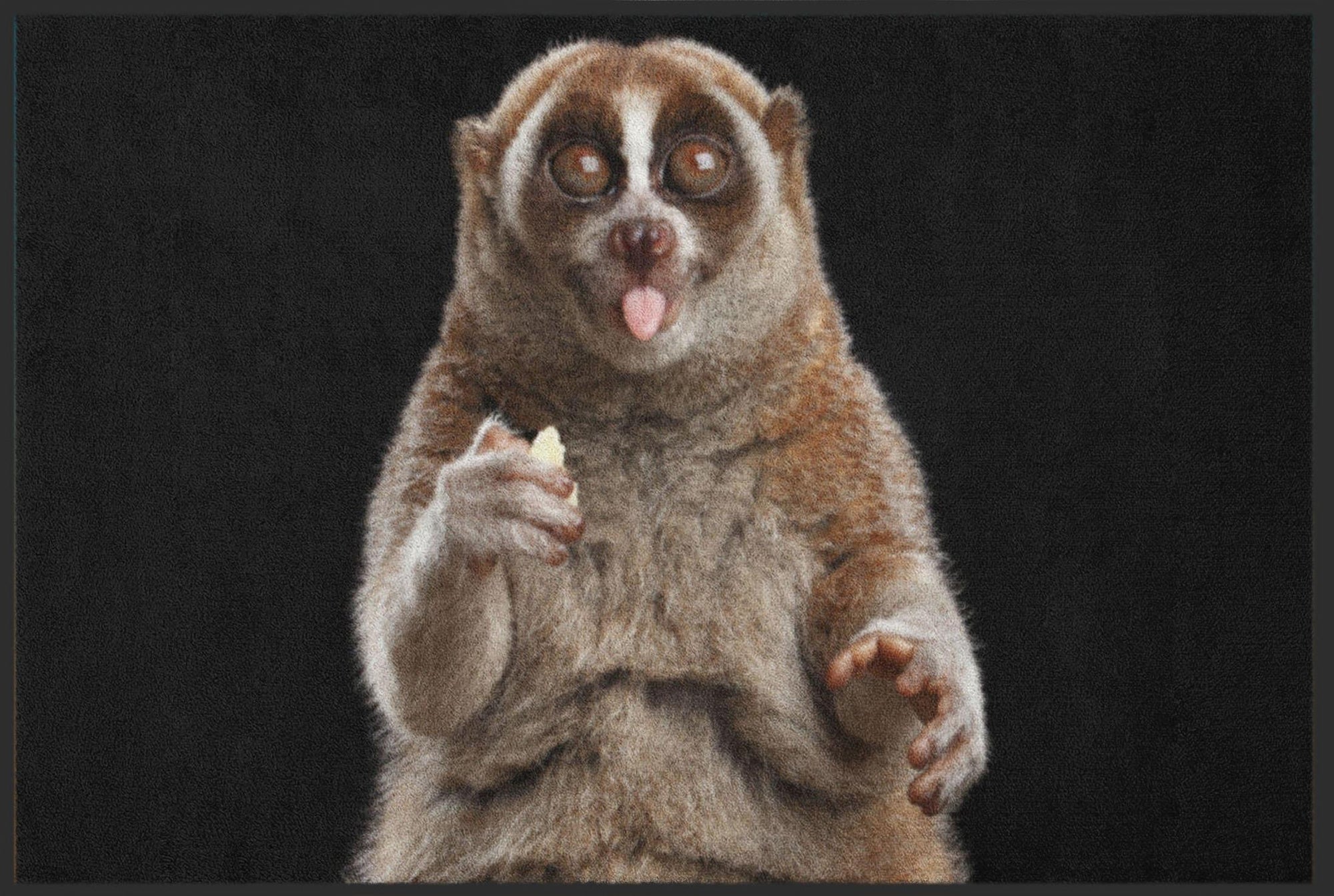 Fussmatte Plumplori 4814