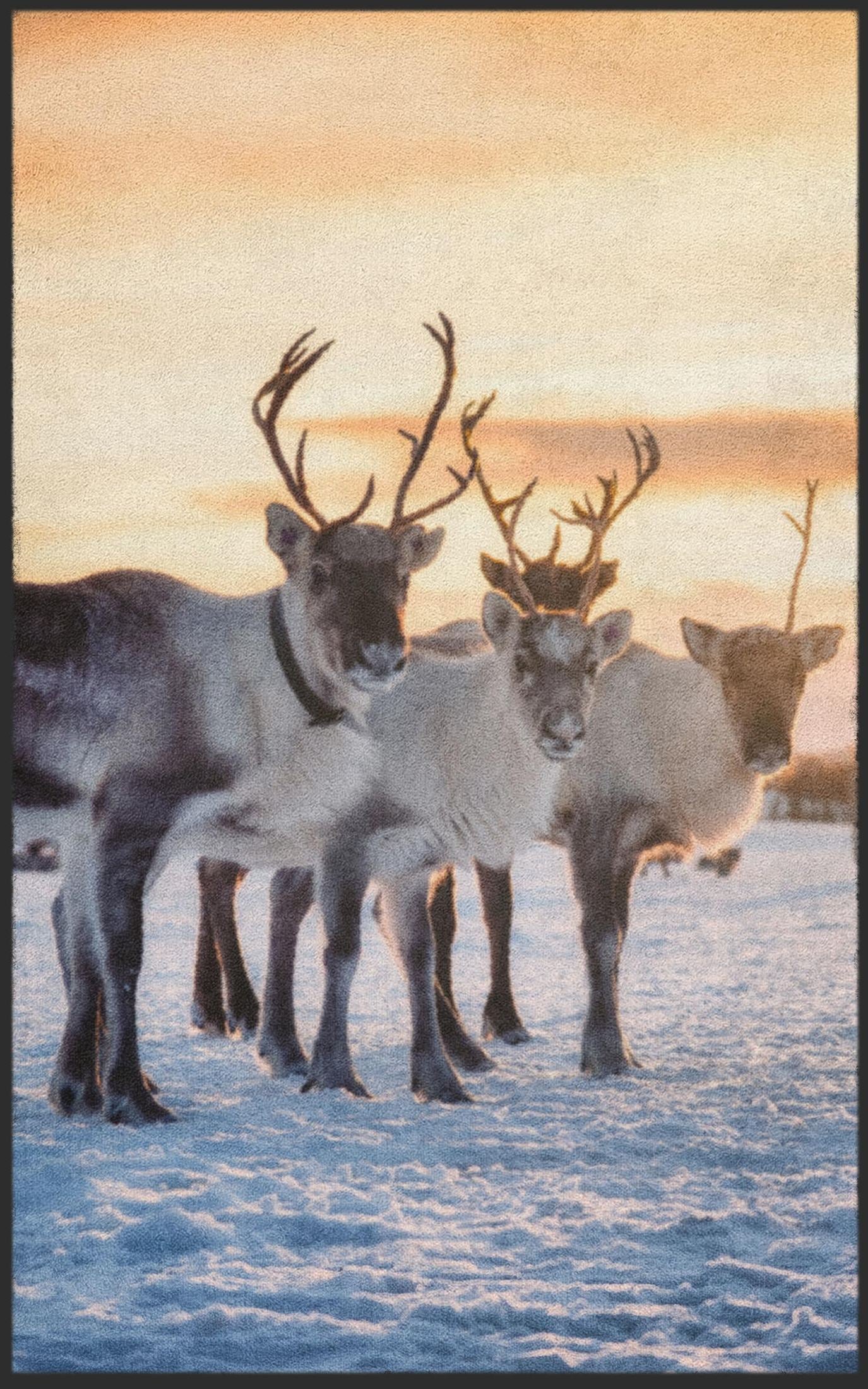 Fussmatte Rentier 7625