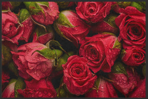 Fussmatte Rote Rosen 4619-Matten-Welt