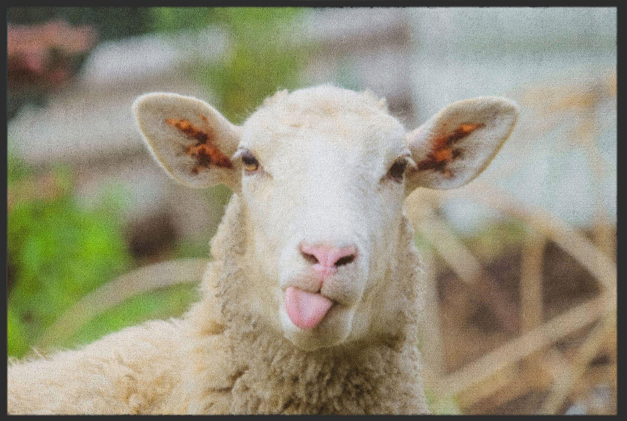 Fussmatte Schaf 4521