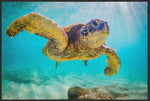 Lade das Bild in den Galerie-Viewer, Fussmatte Schildkröte 4520-Matten-Welt
