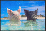 Lade das Bild in den Galerie-Viewer, Fussmatte Schweine Bahamas 4530-Matten-Welt
