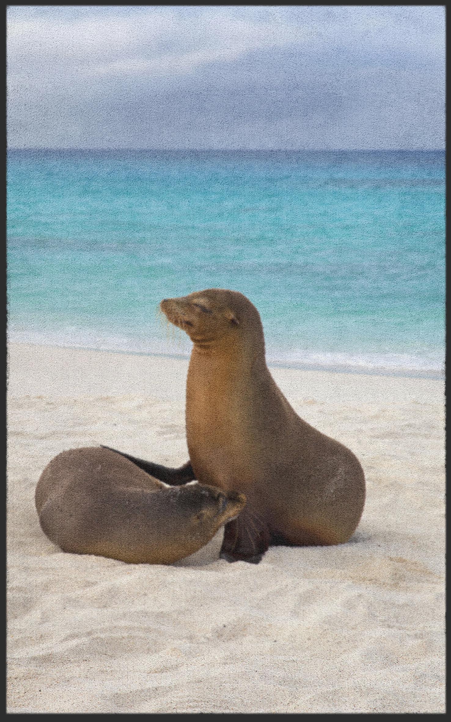 Fussmatte Seelöwe 7796