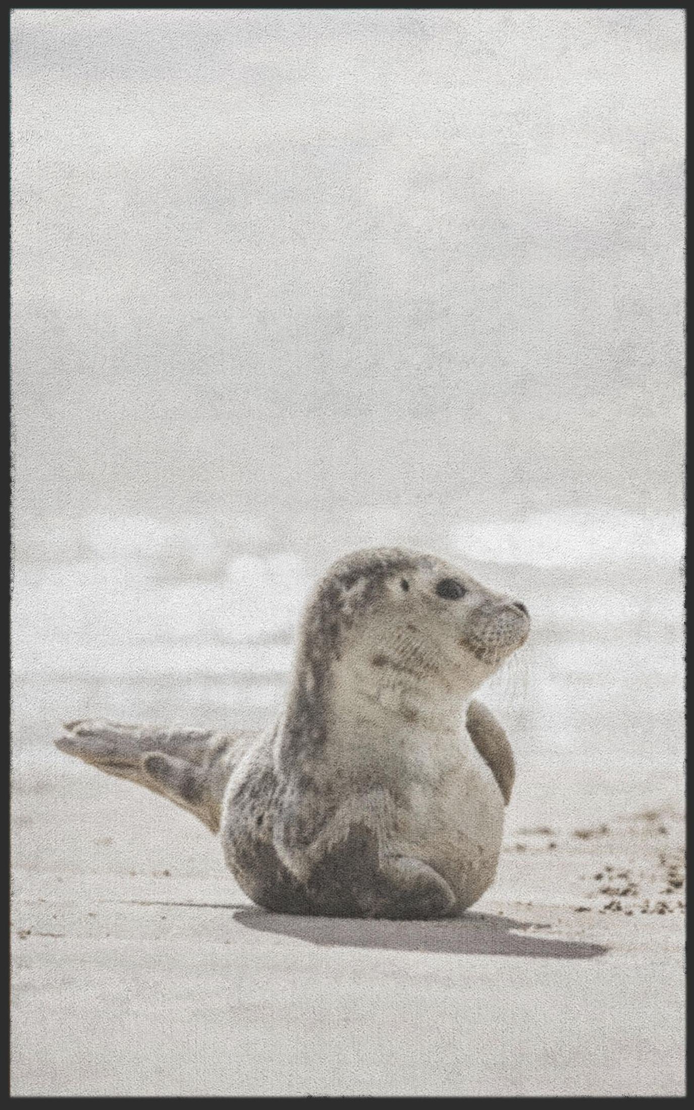 Fussmatte Seerobbe 7091