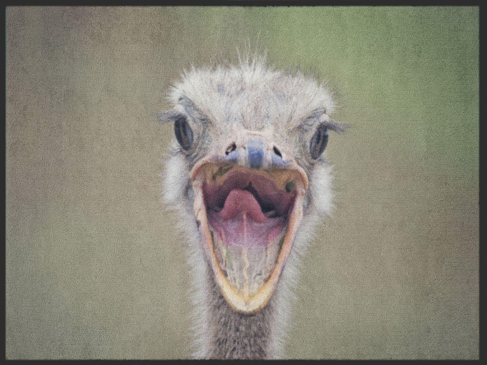 Fussmatte Strauß 4974