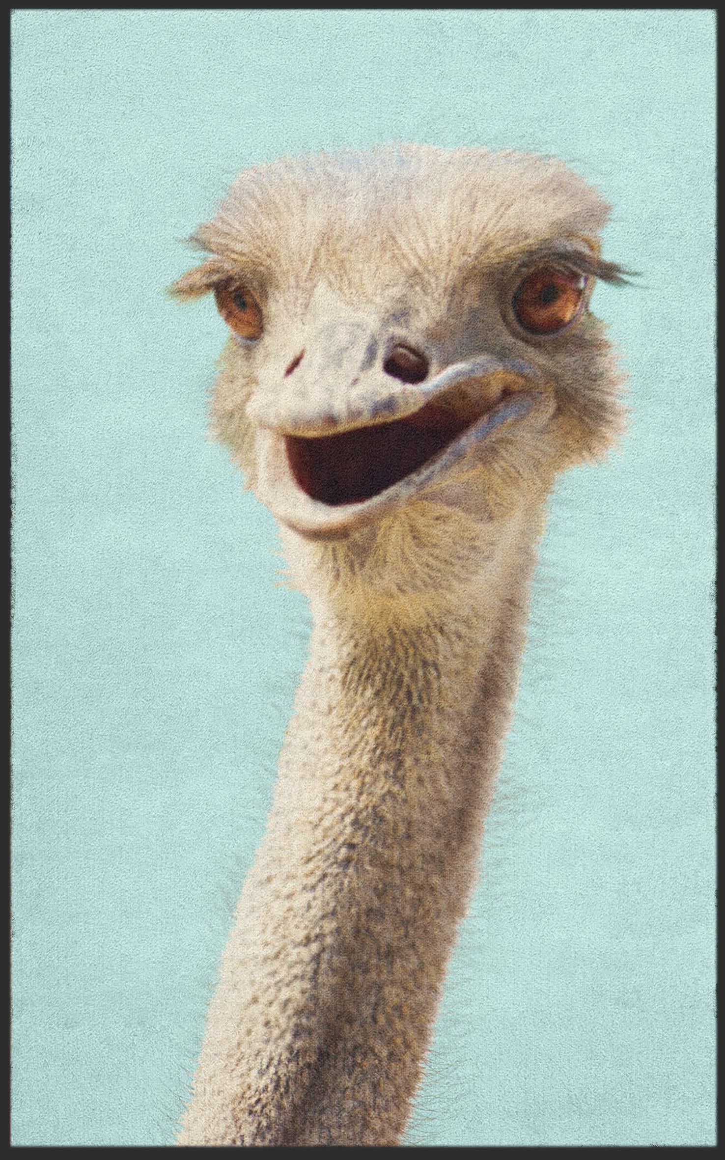 Fussmatte Strauß 7092