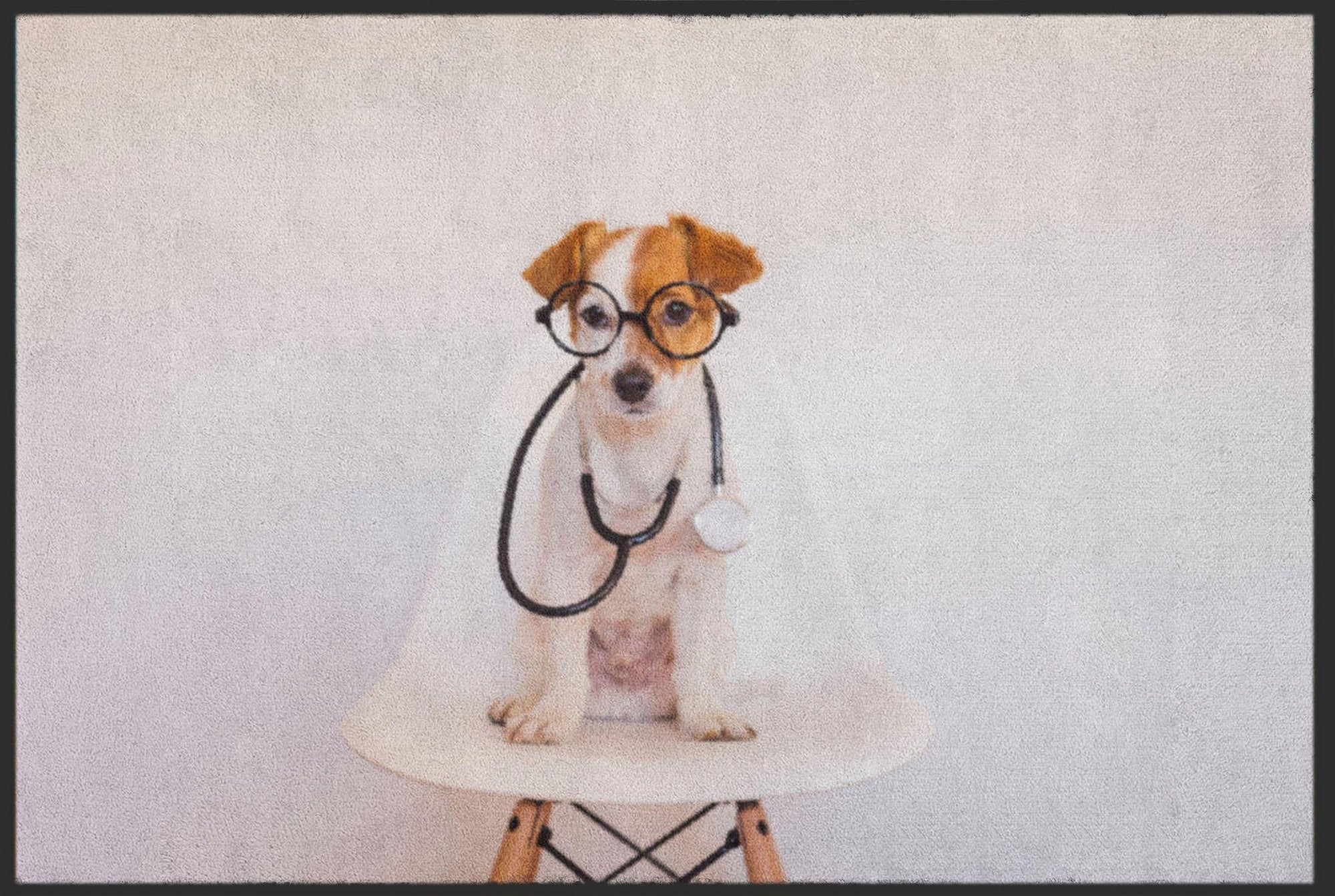 Fussmatte Tierarzt 6162