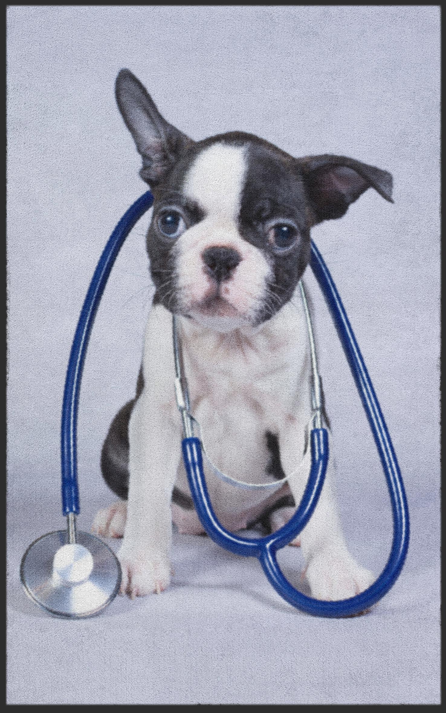 Fussmatte Tierarzt 7354