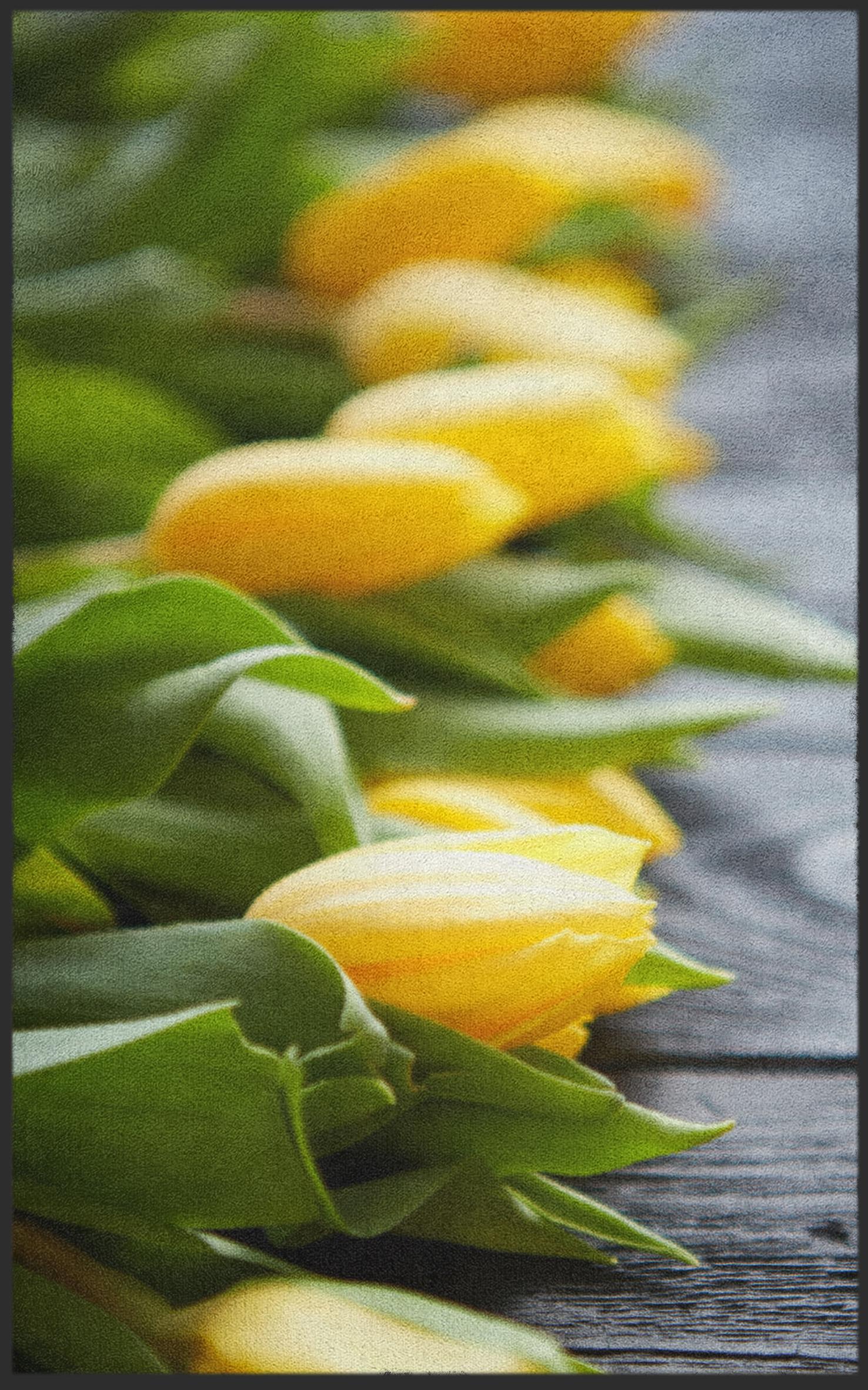 Fussmatte Tulpen 7291-Matten-Welt