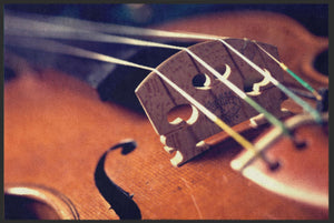 Fussmatte Violine 6134-Matten-Welt