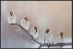 Lade das Bild in den Galerie-Viewer, Fussmatte Vögel 4527-Matten-Welt
