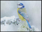 Lade das Bild in den Galerie-Viewer, Fussmatte Vogel 5014-Matten-Welt
