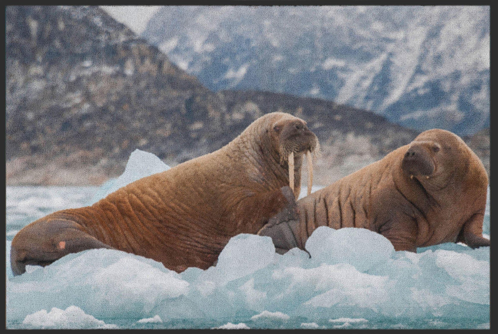 Fussmatte Walross 6091