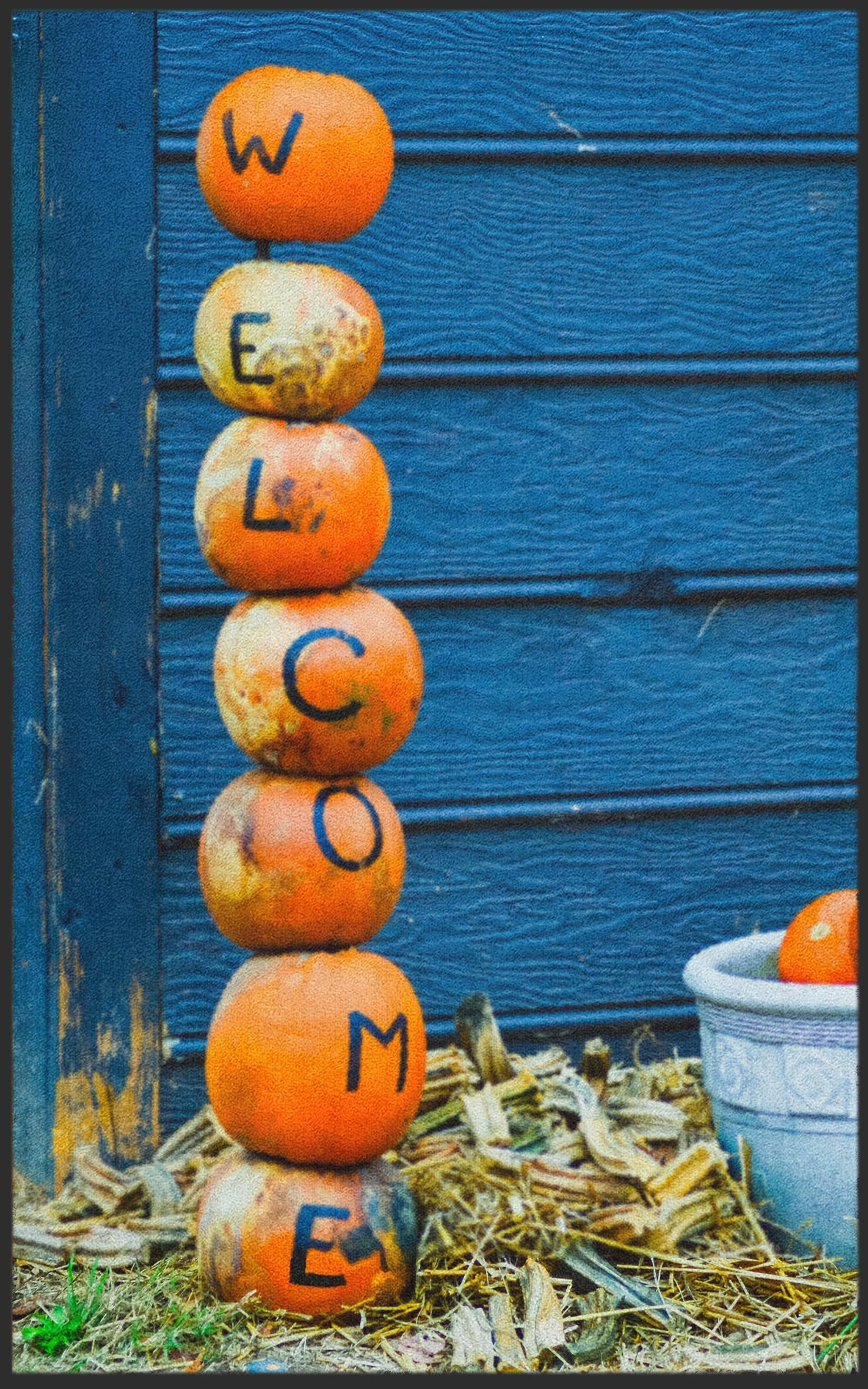 Fussmatte Welcome Kürbis 7020