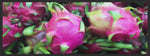 Lade das Bild in den Galerie-Viewer, Küchenteppich Drachenfrucht 4384-Matten-Welt
